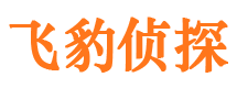 莱阳调查公司